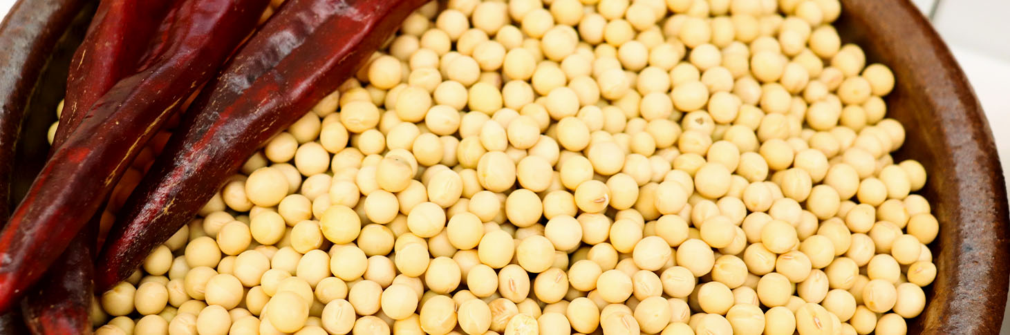 122cc太阳集成游戏